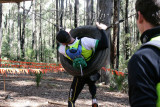 LowRopes0105 copy.jpg