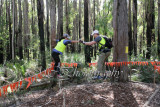 LowRopes0113 copy.jpg