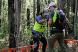 LowRopes0114 copy.jpg