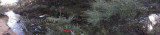 Panorama0006.JPG