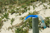 Snorkel