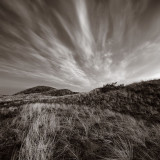 Dune landscape