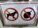 No dogs no durian