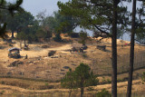 Myanmar Border Post