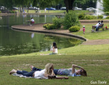 A stroll in the park