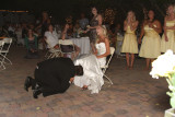 ApertureIMG_27972011-07-16.jpg