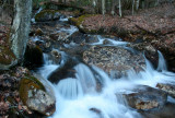 Rushing Spring Whitewater in Williams River Tributary tb0311iar.jpg