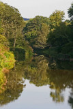 Upper Williams River Reflective Scene v tb0911nur.jpg