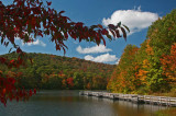 Red Branches Mixing with Summit Lake Fall Scenery tb0911tax.jpg