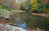 Backwater in Autumn Cranberry River Cove tb1010ssx.jpg