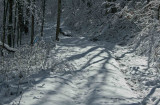 Wintry Lane Shaded from Midday Brigthness tb1211gbx.jpg