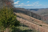 Bright Appalachian Farmland into Greenbrier River Headwaters tb0412cjr.jpg