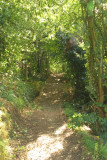 183  Hill path.jpg