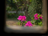 [2012.04.02]