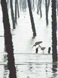 [2012.07.18] The fishing spot