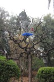 Nearby the Wild Goose Pagoda was a garden with this twisted tree with a bird cage hanging from it.