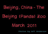 Beijing, China - The Beijing (Panda) Zoo (March 2011)