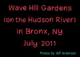 Wave Hill Gardens (on the Hudson River) (July 2011)