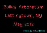 Bailey Arboretum, Lattingtown, NY (May 2012)