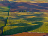 The_Palouse7