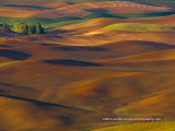 The_Palouse12