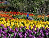 Zoo-_20110413_402_.jpg
