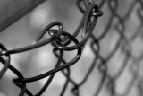 wire fence 3 h.jpg