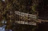 wentworth falls lake 4 h.jpg