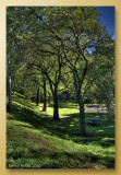 blackheath memorial park 1f.jpg