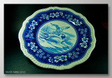 Spode 1wosf.jpg