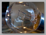 light bulb wf.jpg