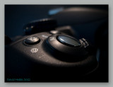 nikon body wf.jpg