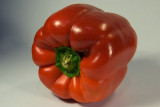 red capsicum w.jpg