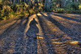 mt vic zig zag track 1w.jpg