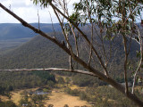coxs rd 2.jpg