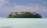 Taa Koka, Muri Beach 4957r.jpg