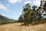 Light green in background left, is Lower Huia Dam, a major source of water for Auckland City.