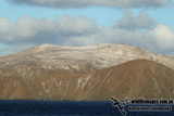 Macquarie Island a2284.jpg