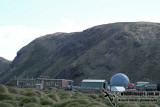 Macquarie Island a2423.jpg