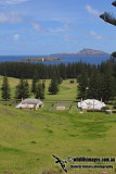 Norfolk Island 5849.jpg