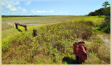 Spartina Grass Flats