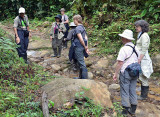 Nature Hike with Joel, Rara Avis.jpg