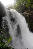 Waterfall at Rara Avis.jpg