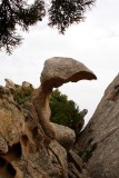 Capo dOrso 1