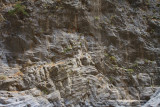 Samaria gorges