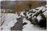 En attendant le printemps