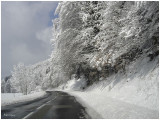 Paysage hivernal