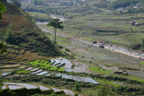 RICE FIELDS TA VAN VALLEY