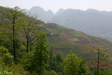 TERRACE FIELDS ON THE ROAD TO MEO VAC