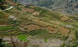 RICE FIELDS - TA VAN VALLEY